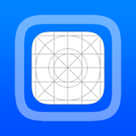 LiveContainer app icon